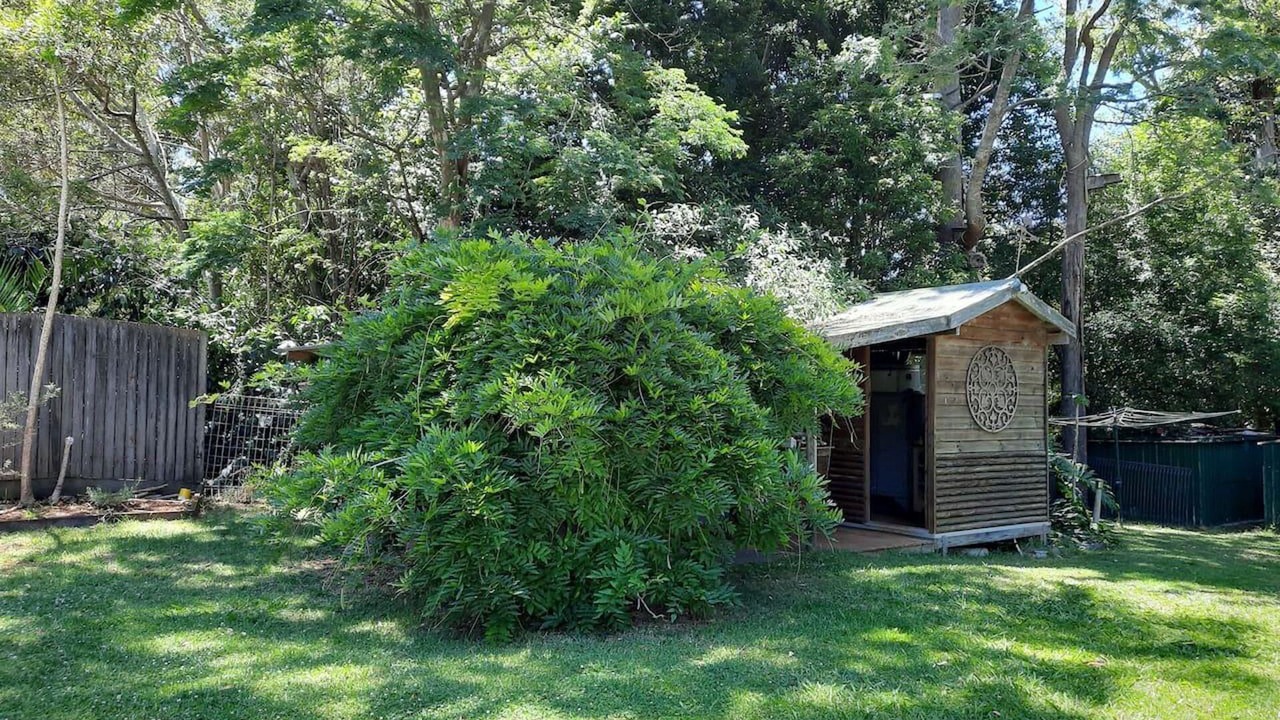 Photo of Others in Witta