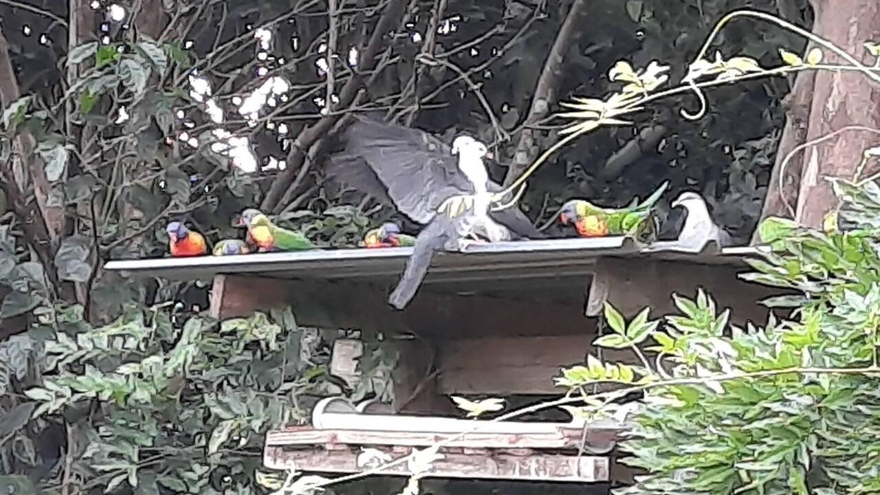 Photo of Others in Witta