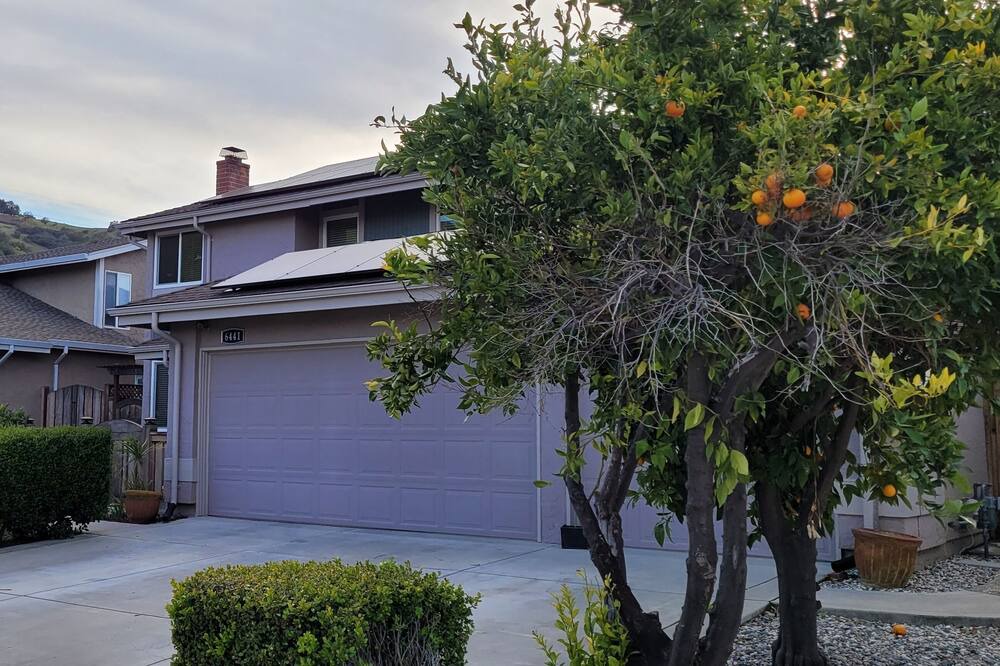 Photo of Outdoor in Edenvale