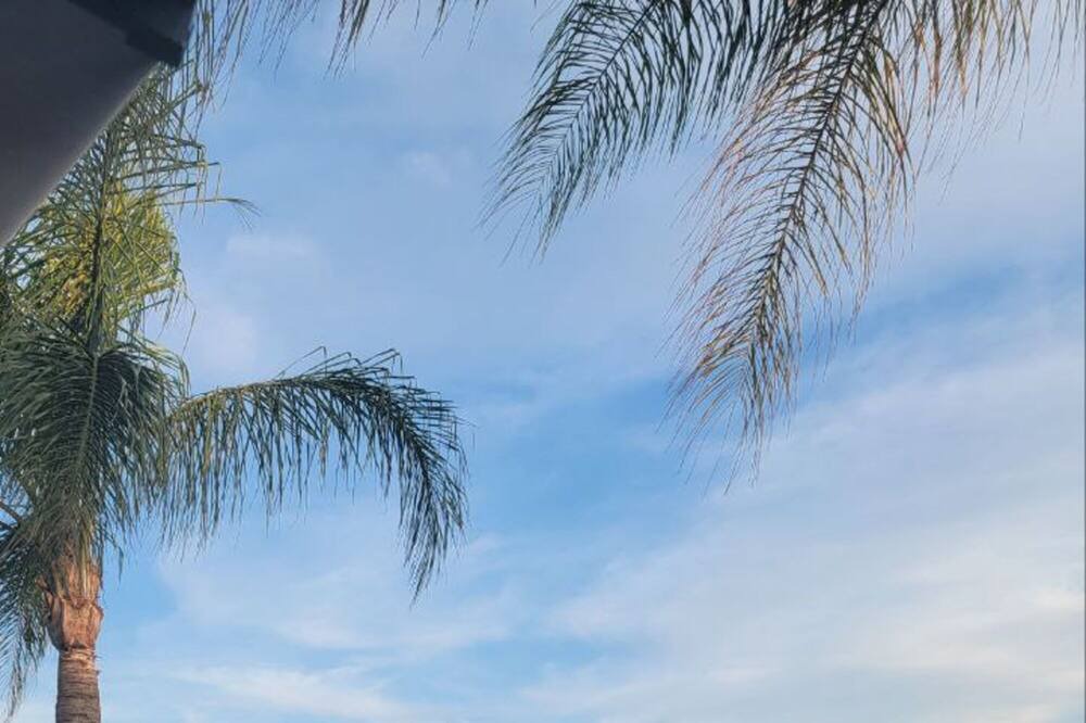 Photo of Others in Port Dover