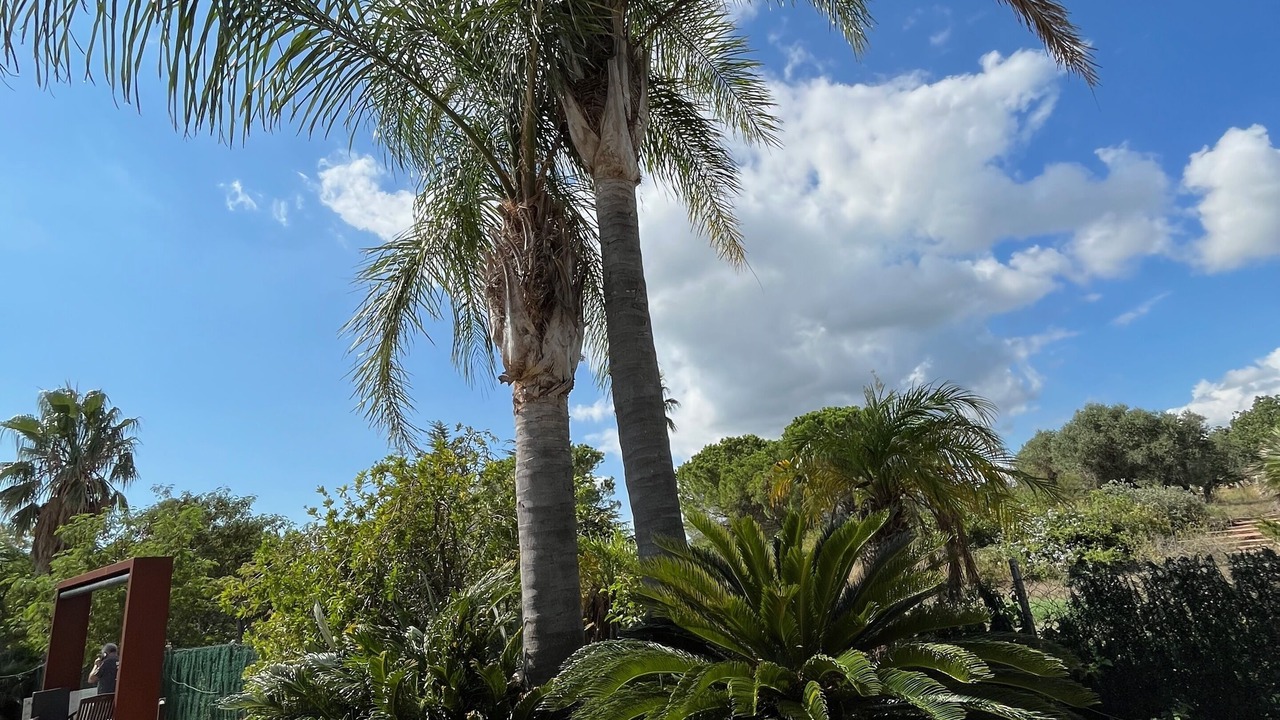 Photo of Outdoor in Bonmont Terres Noves