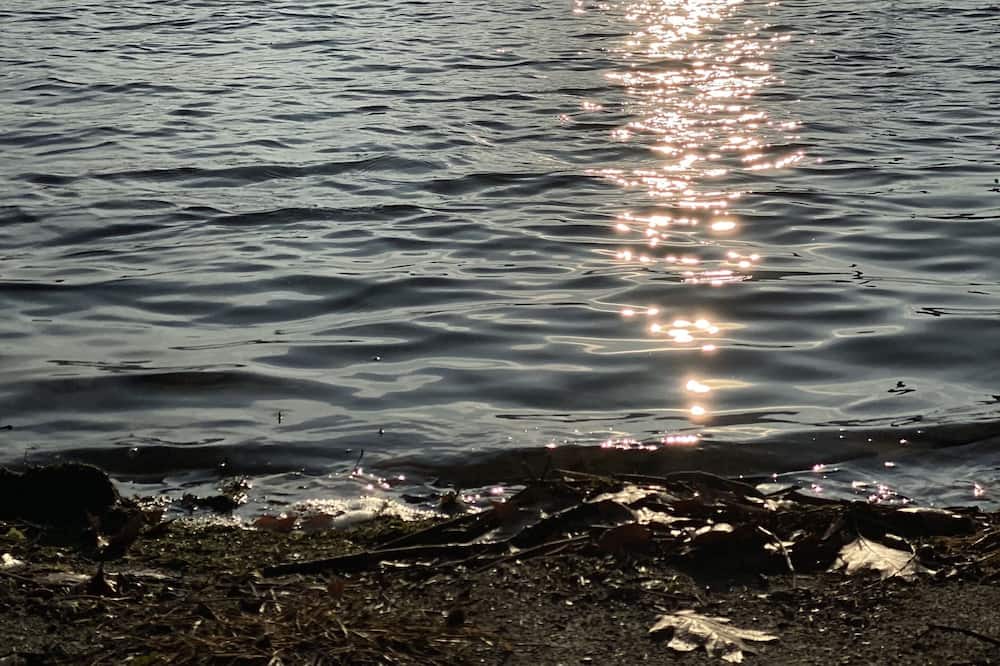 Photo of Others in Newtonville