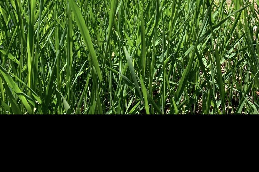 Photo of Outdoor in Newtonville