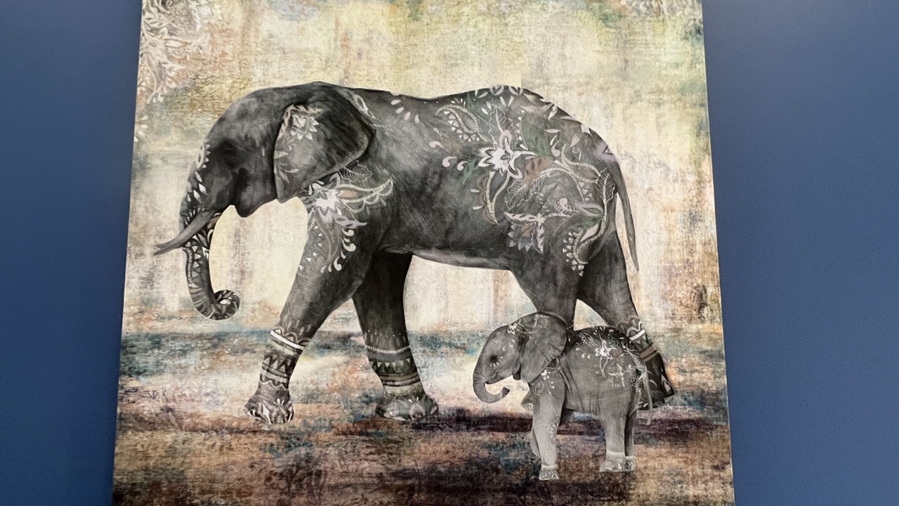 Photo of Others in Stoke-on-Trent