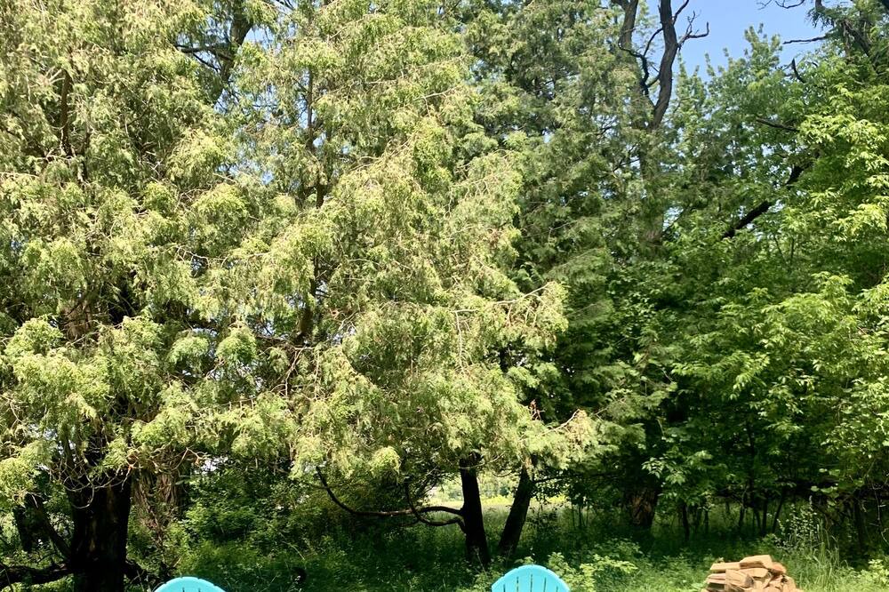 Photo of Others in Ithaca