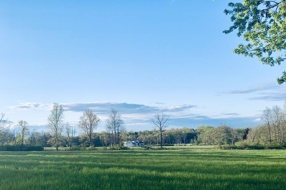 Photo of Others in Ithaca