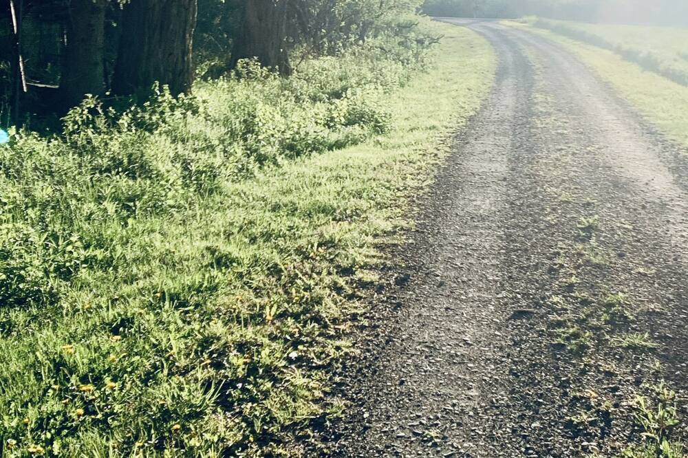 Photo of Others in Ithaca