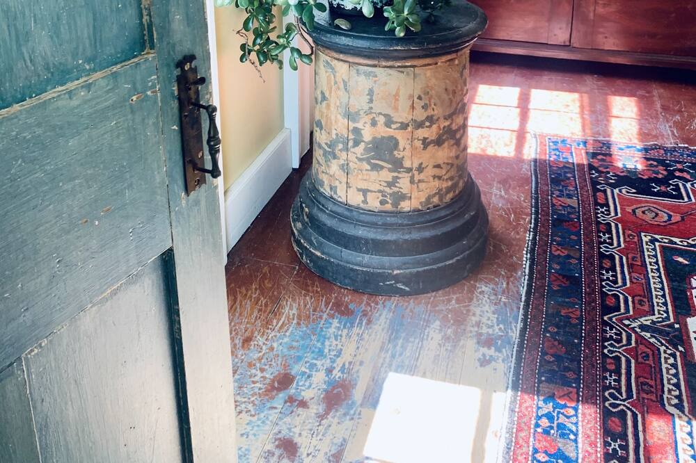 Photo of Others in Ithaca