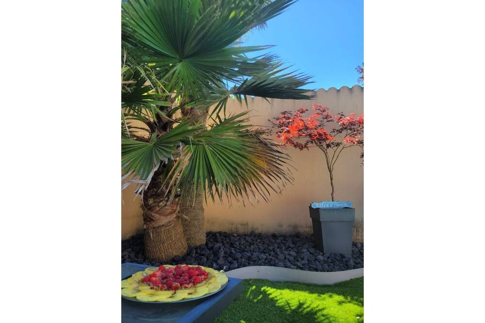 Photo of Outdoor in Murviel-les-Montpellier