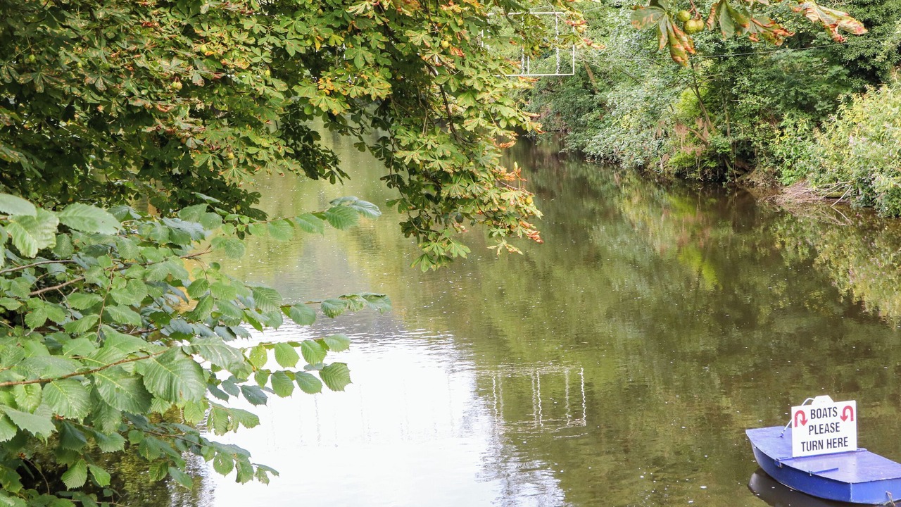 Photo of Others in Middleton