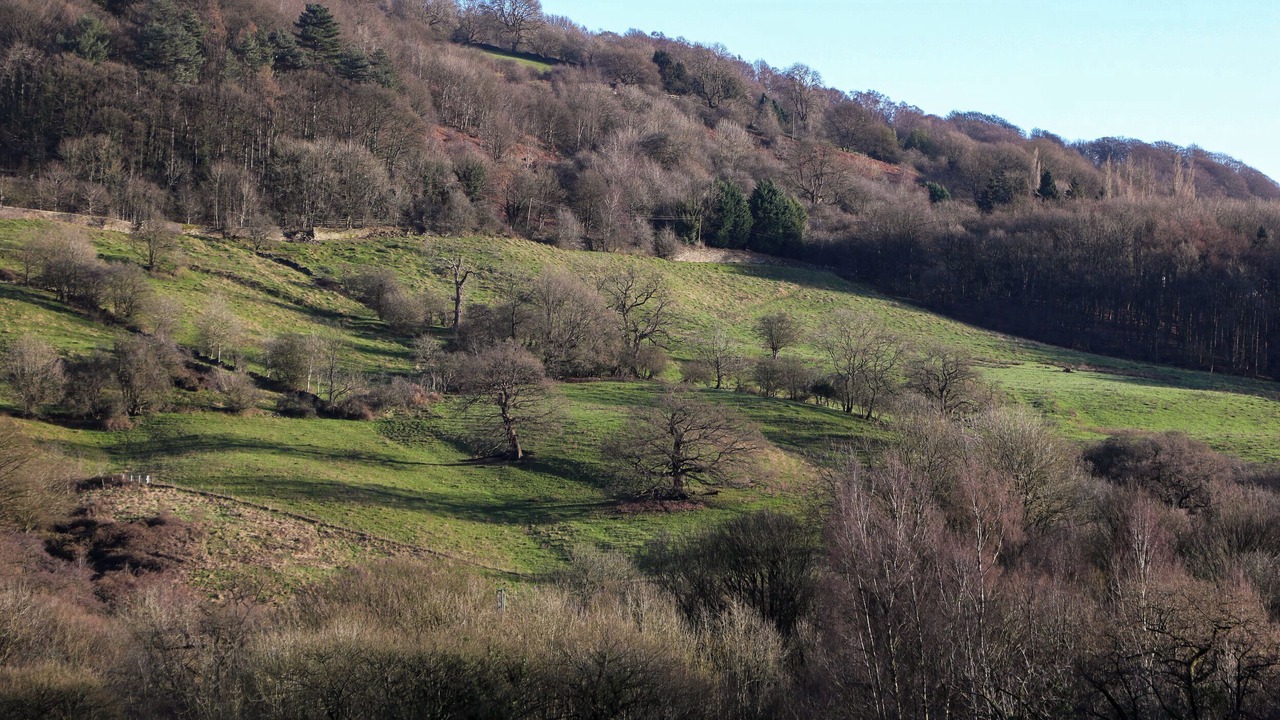 Photo of Others in Middleton