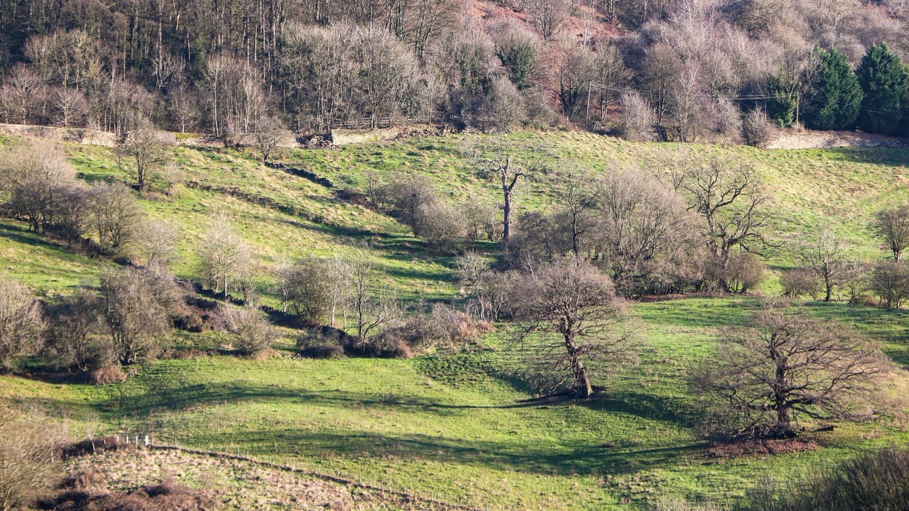 Photo of Others in Middleton