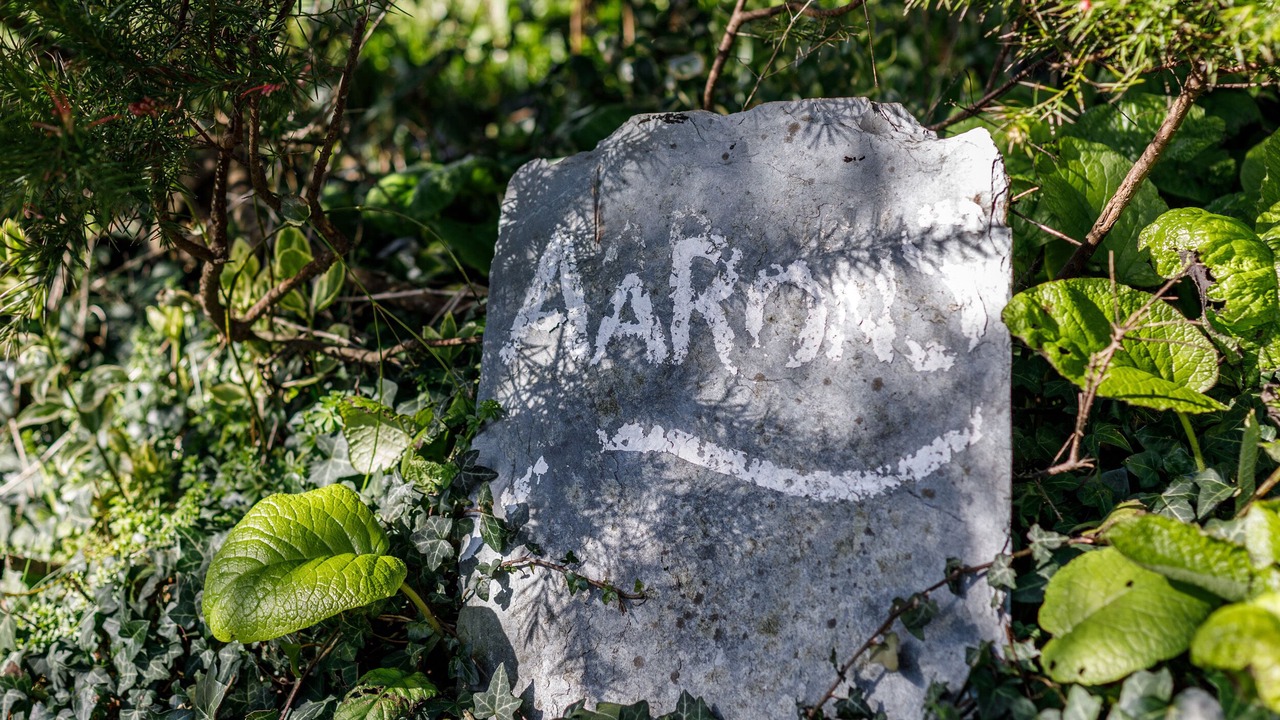 Photo of Others in St Teath