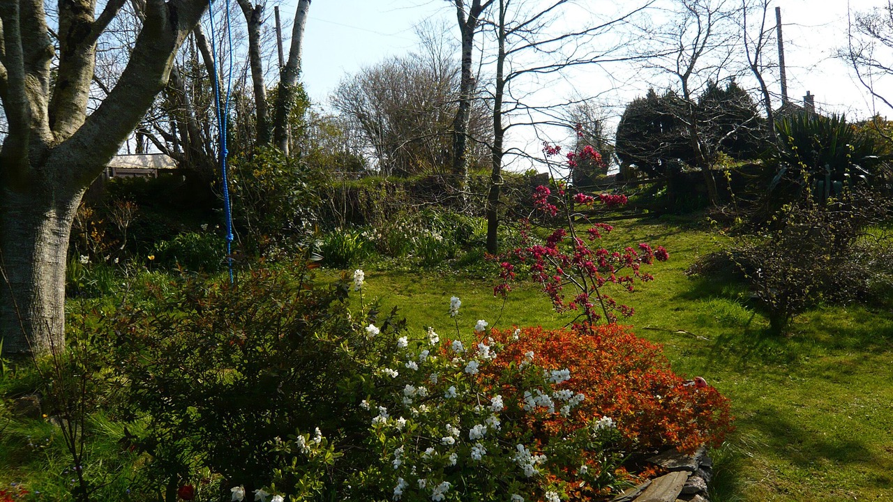 Photo of Others in St Teath