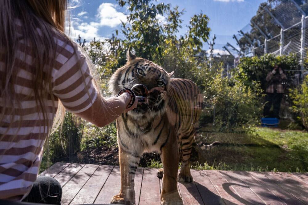 Photo of Others in Golden Point
