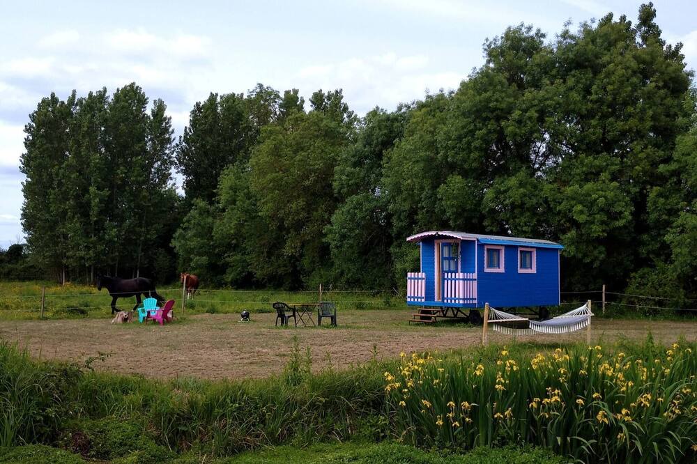 Photo of Others in Le Vieil-Bauge