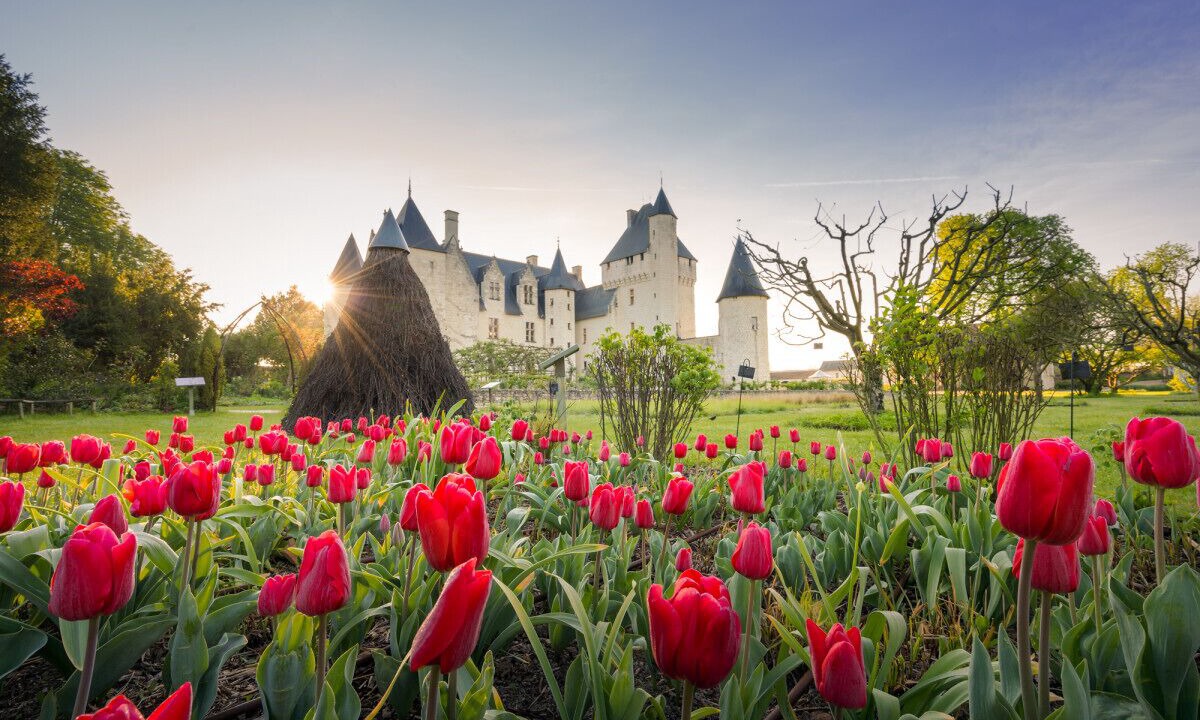 Photo of Others in Saint-Benoit-la-Foret