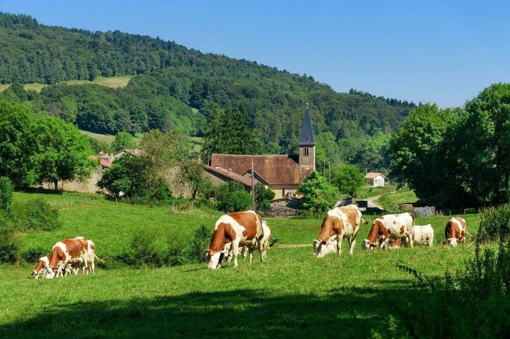 Photo of Outdoor in Morre