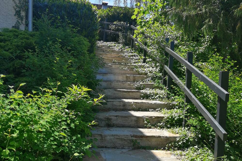 Photo of Outdoor in Morre