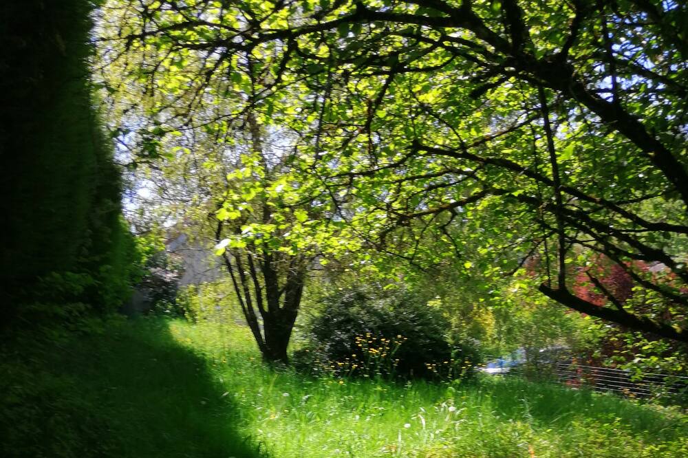 Photo of Outdoor in Morre