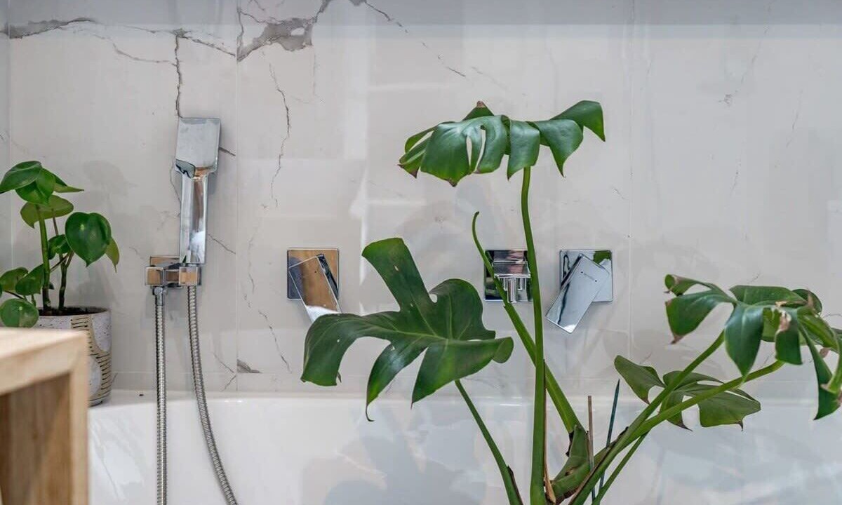 Photo of Others in Goolwa South