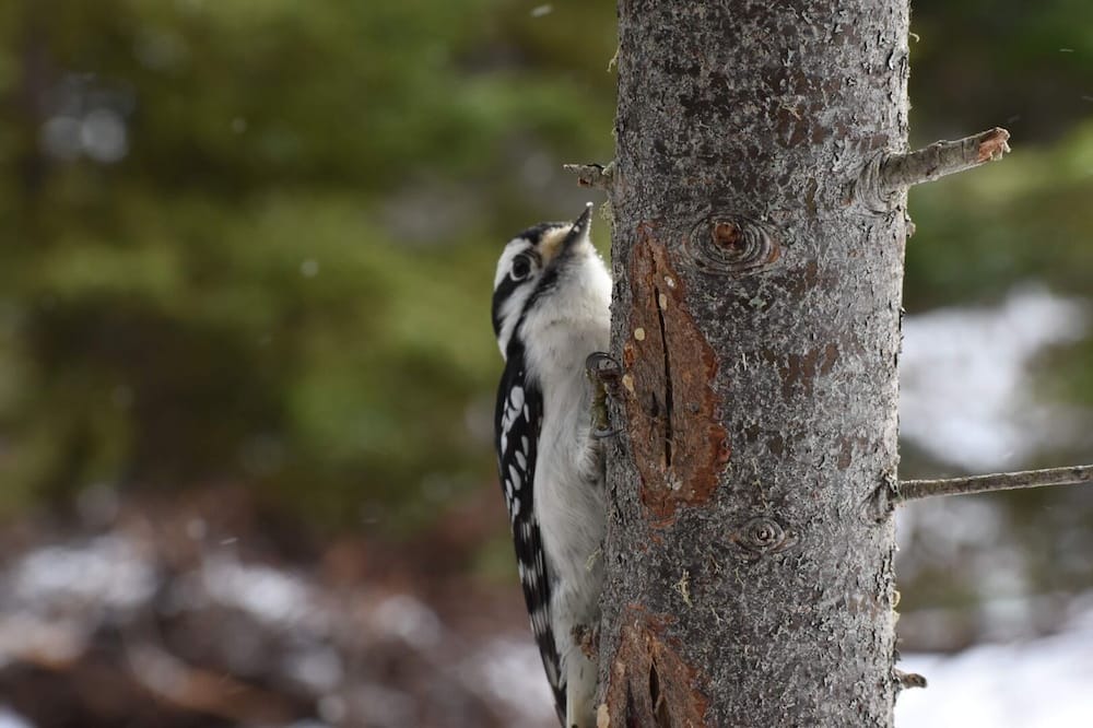 Photo of Others in Cap-Bateau