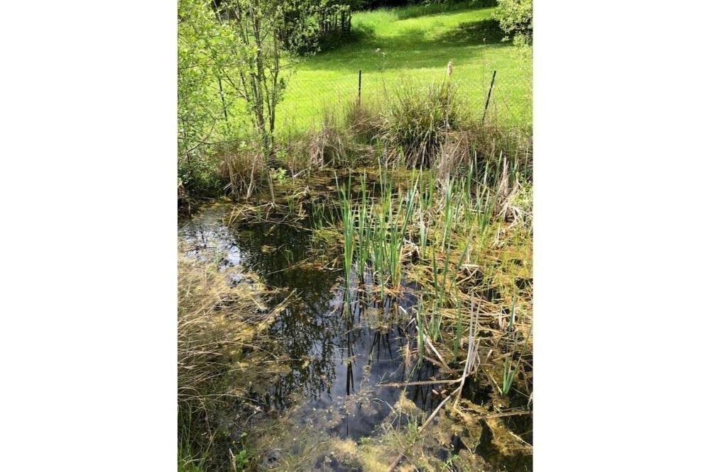 Photo of Outdoor in Le Mesnil-sur-Blangy