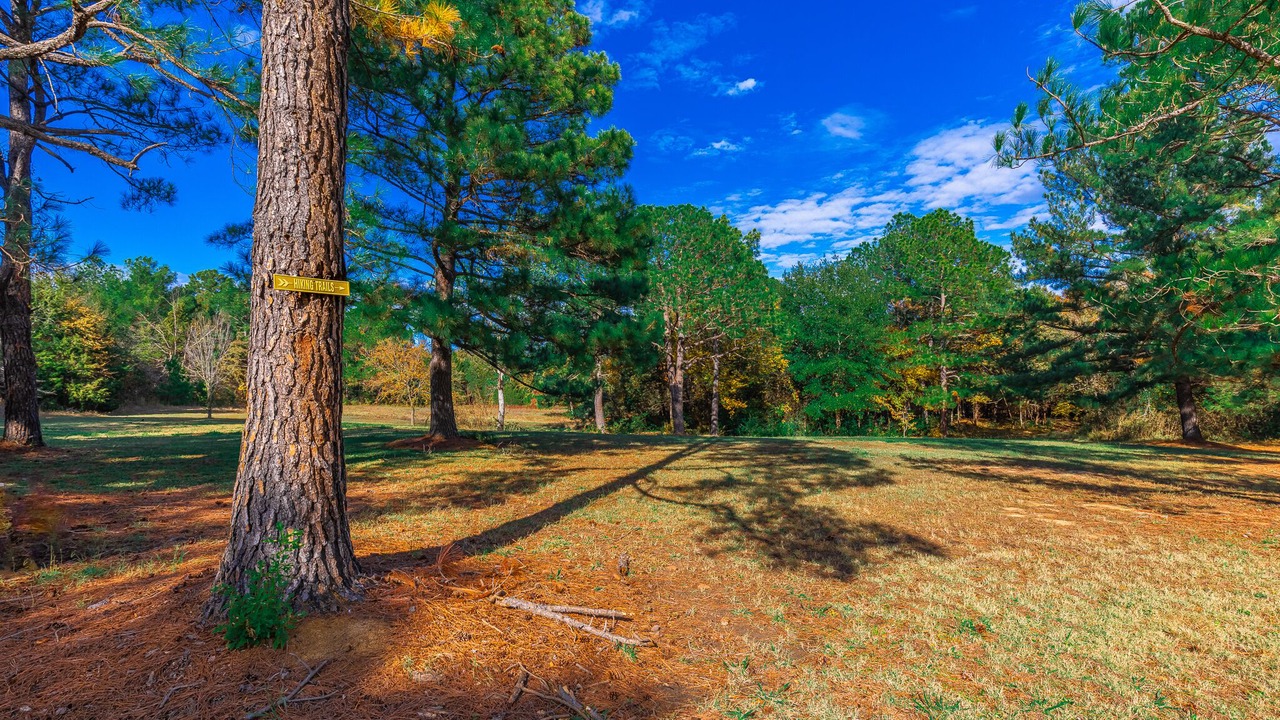 Photo of Outdoor in Denison