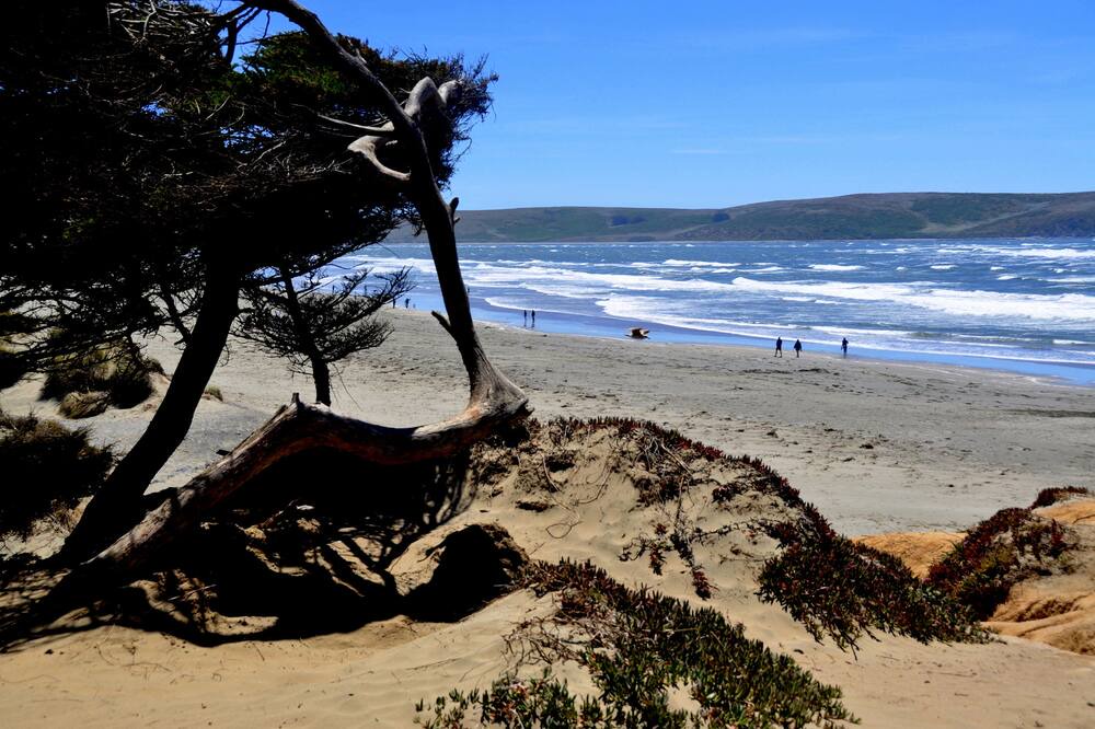 Photo of Others in Dillon Beach