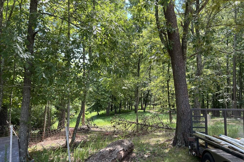 Photo of Outdoor in Charlottesville