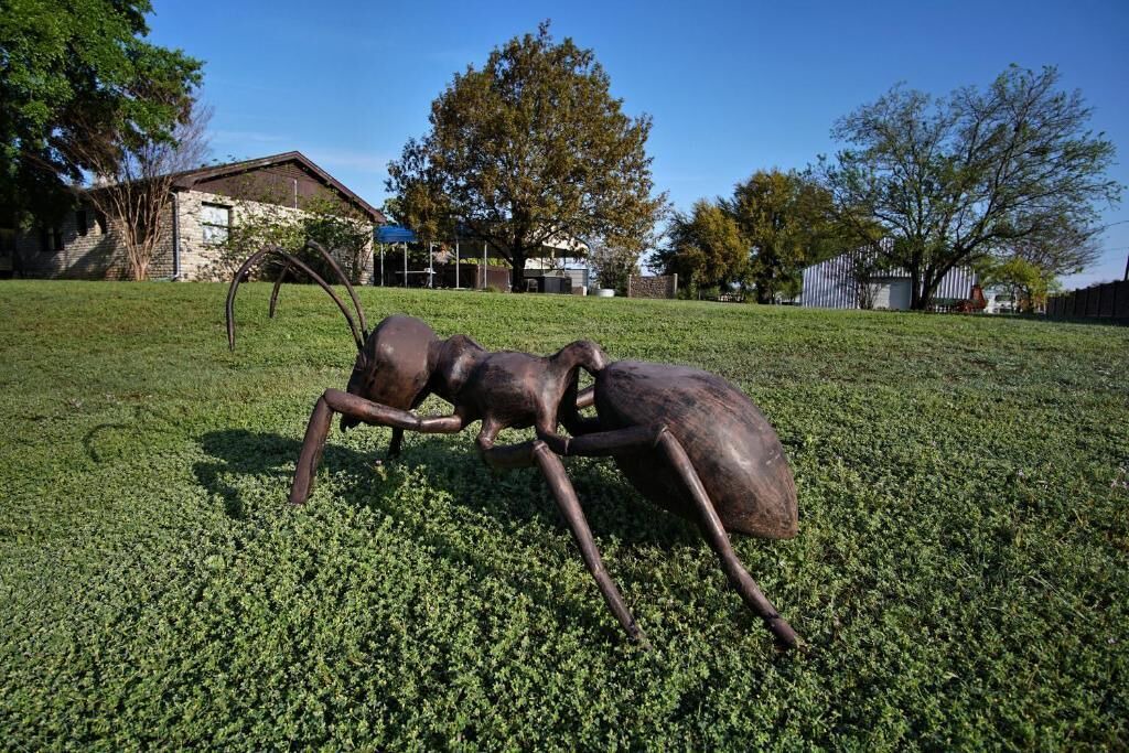 Photo of Outdoor in Glen Rose