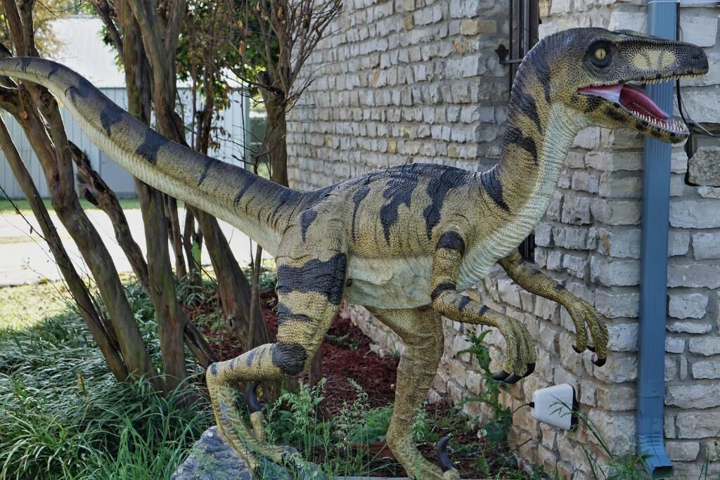 Photo of Outdoor in Glen Rose