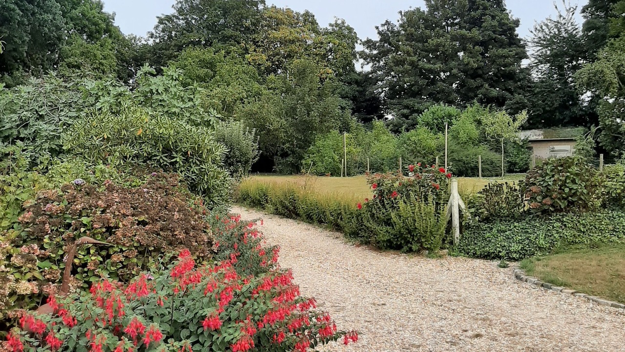 Photo of Outdoor in Villainville