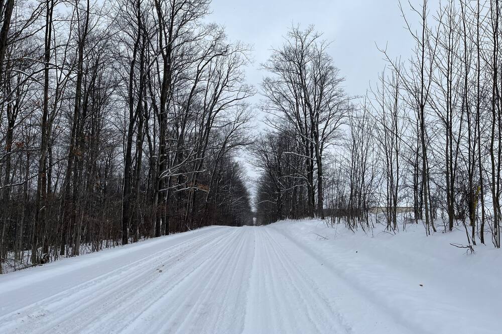 Photo of Others in West Grey