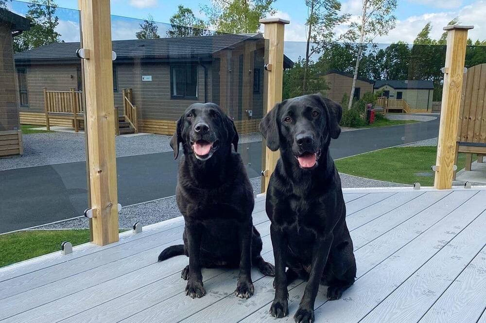 Photo of Others in Penrith