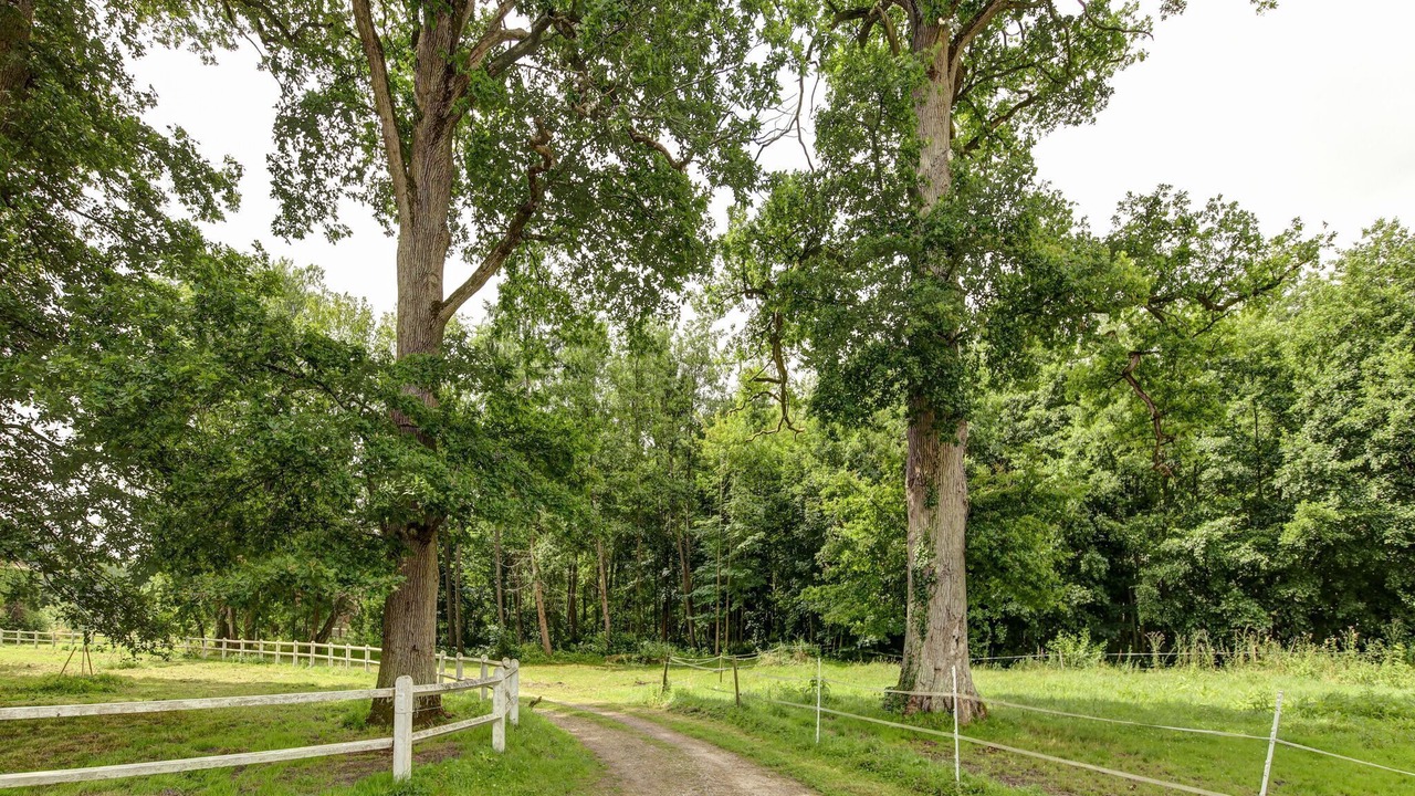 Photo of Outdoor in Raizeux
