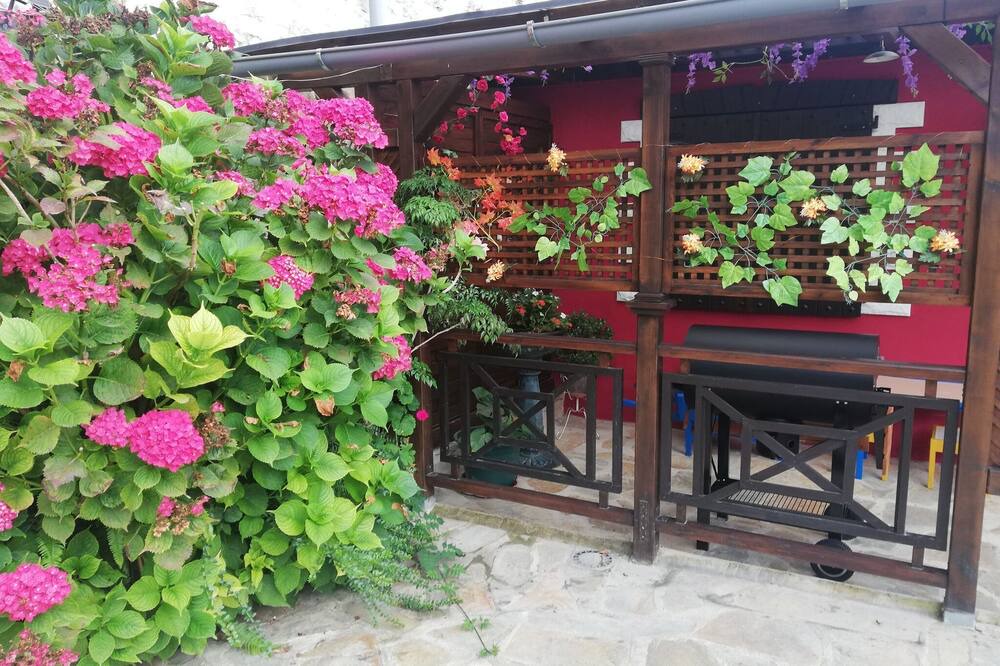 Photo of Outdoor in Villanueva