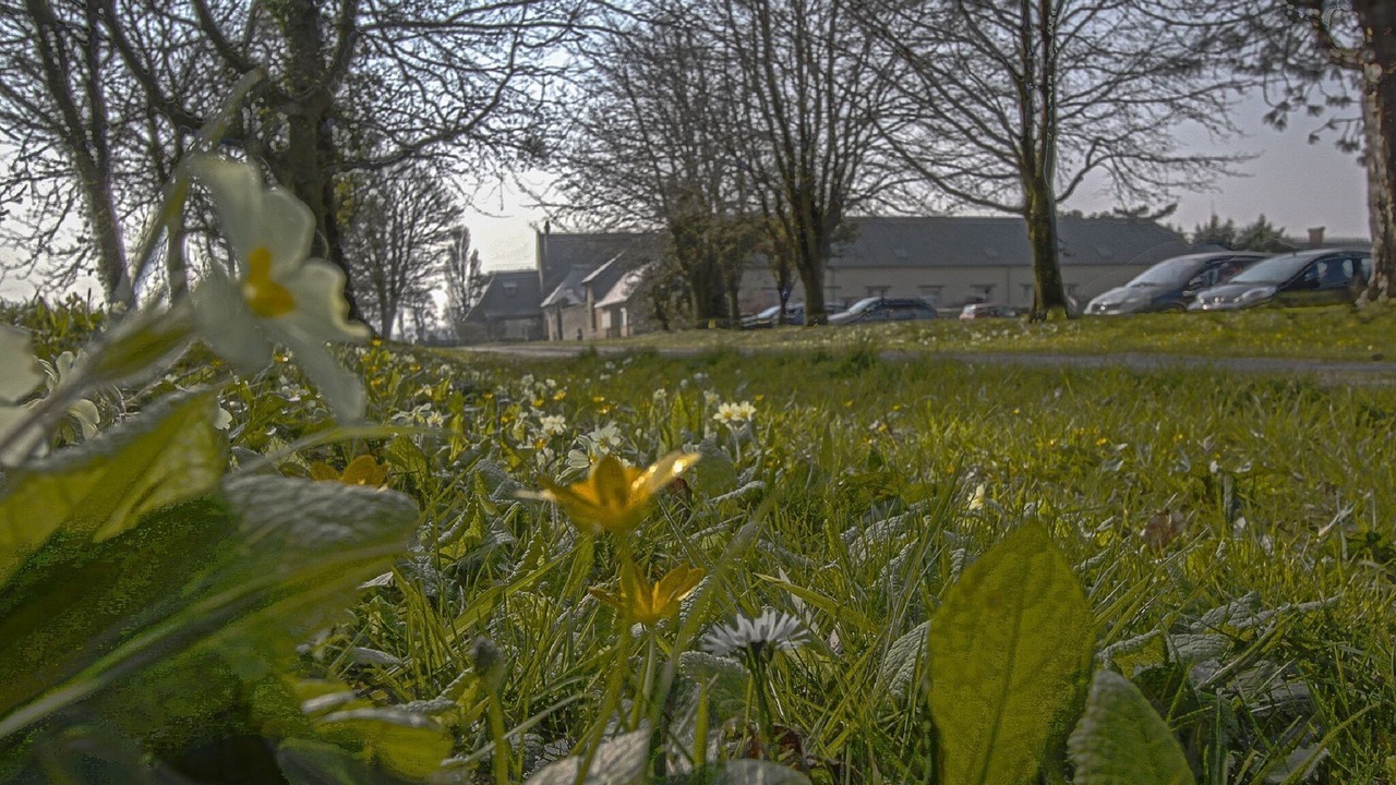 Photo of Outdoor in Commes