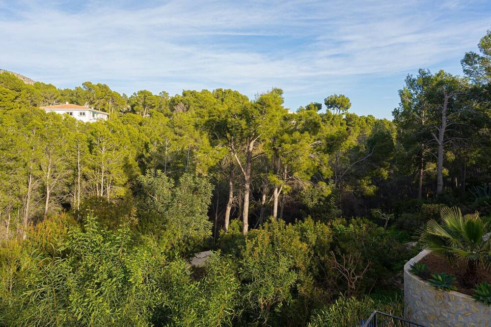 Photo of Outdoor in Bernia