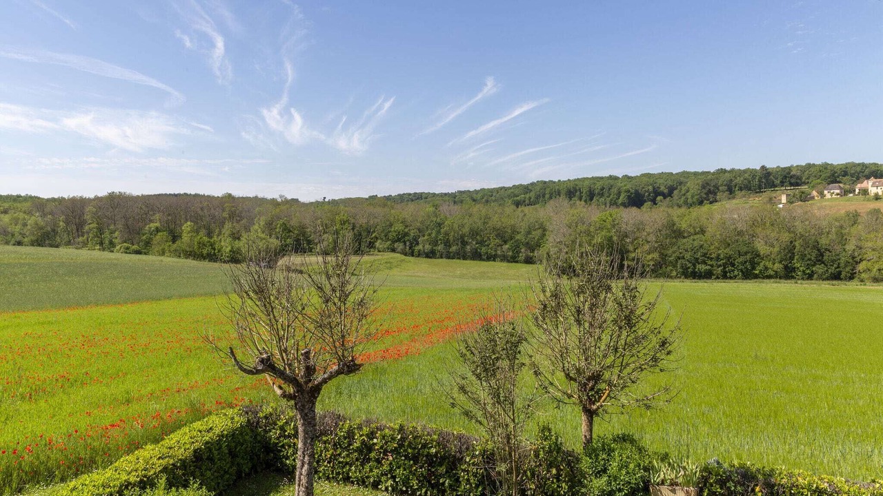 Photo of Outdoor in Degagnac