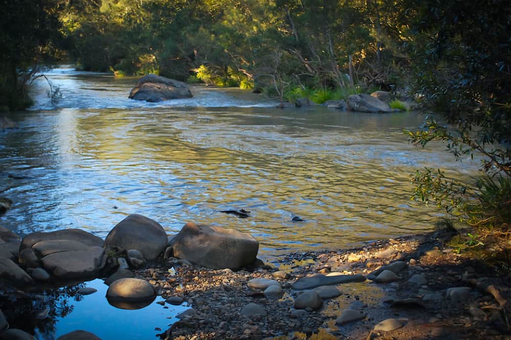 Photo of Others in Monkerai