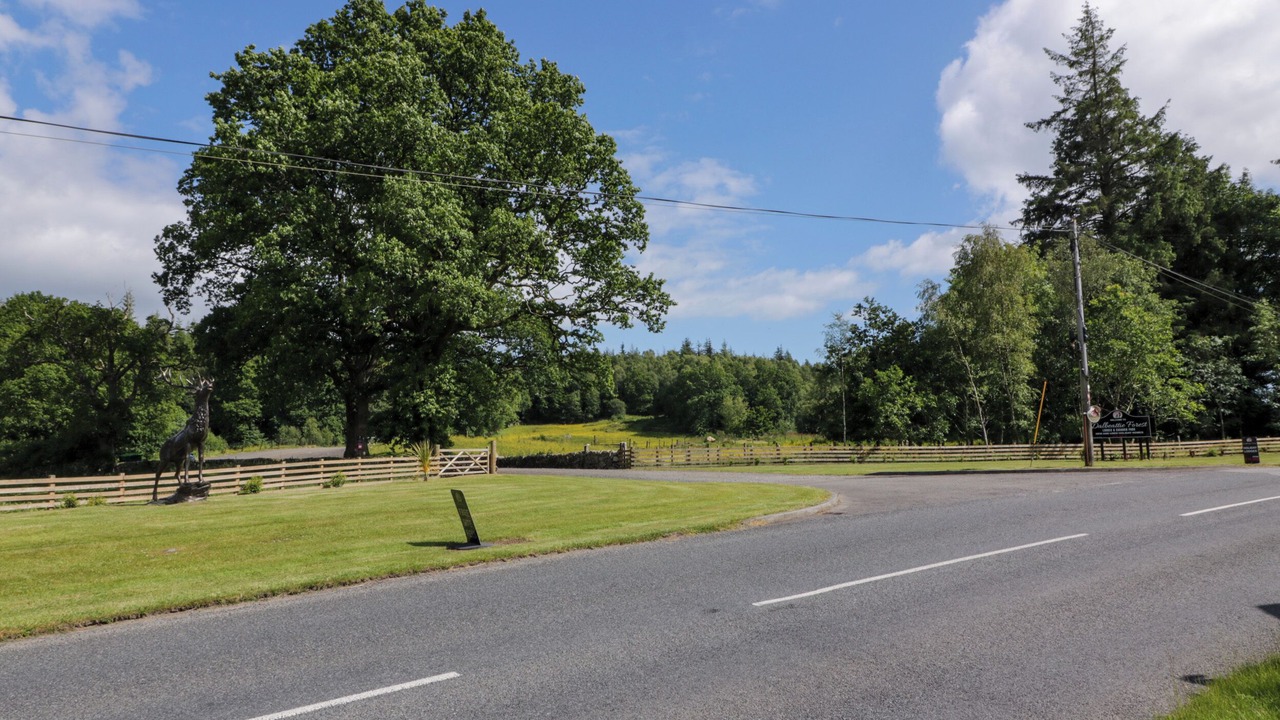 Photo of Others in Dalbeattie