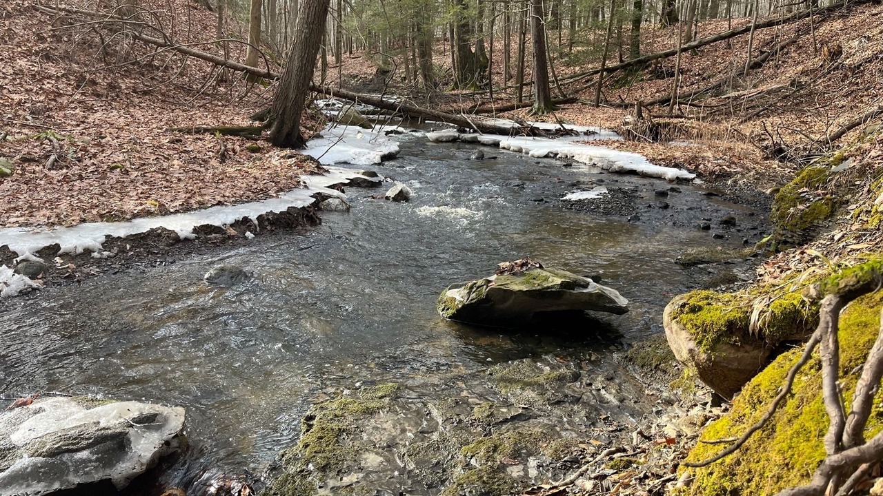 Photo of Outdoor in Pine Bush