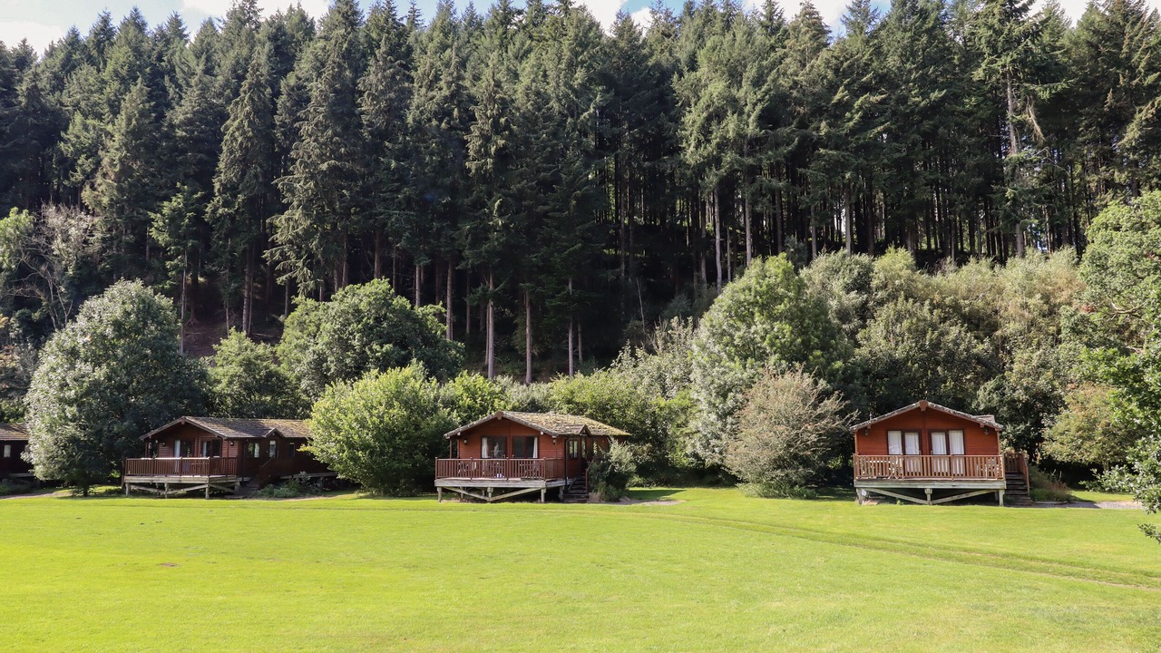 Photo of Others in Moretonhampstead