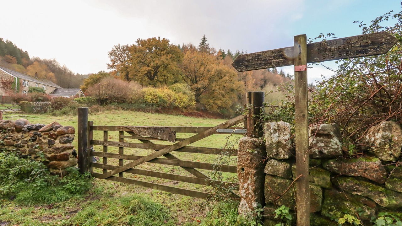 Photo of Others in Moretonhampstead