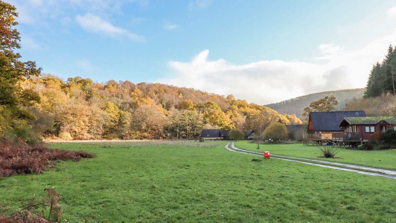 Photo of Others in Moretonhampstead