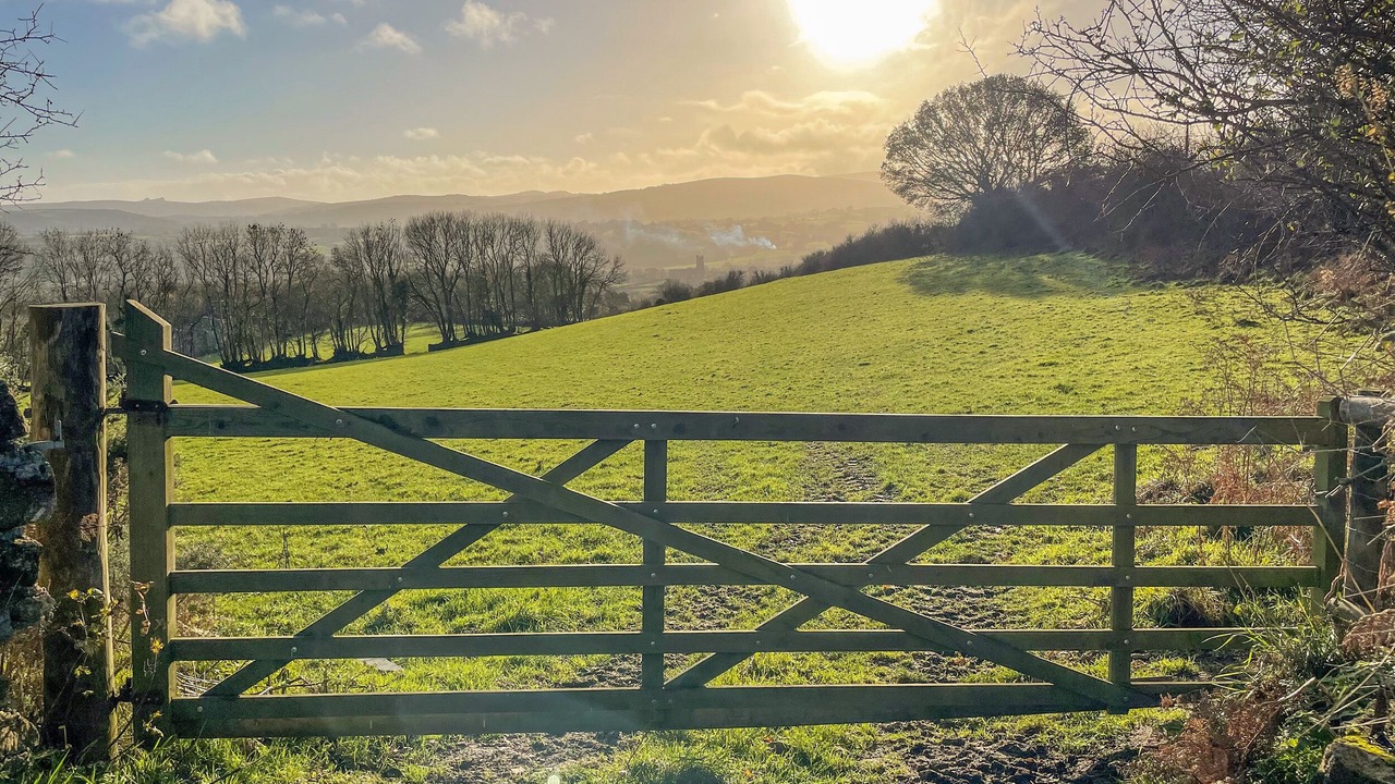 Photo of Others in Moretonhampstead