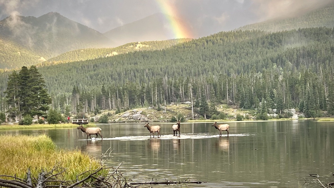 Photo of Outdoor in Estes Park