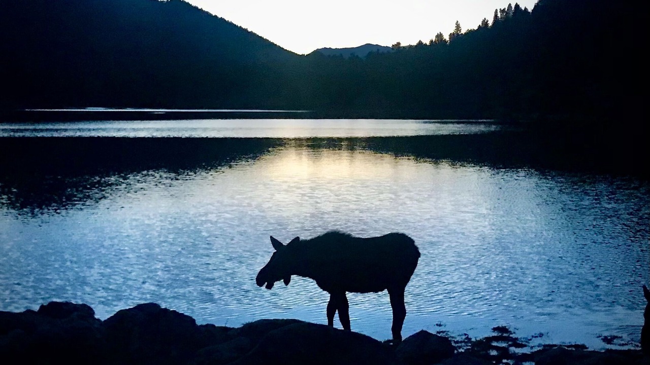 Photo of Others in Estes Park