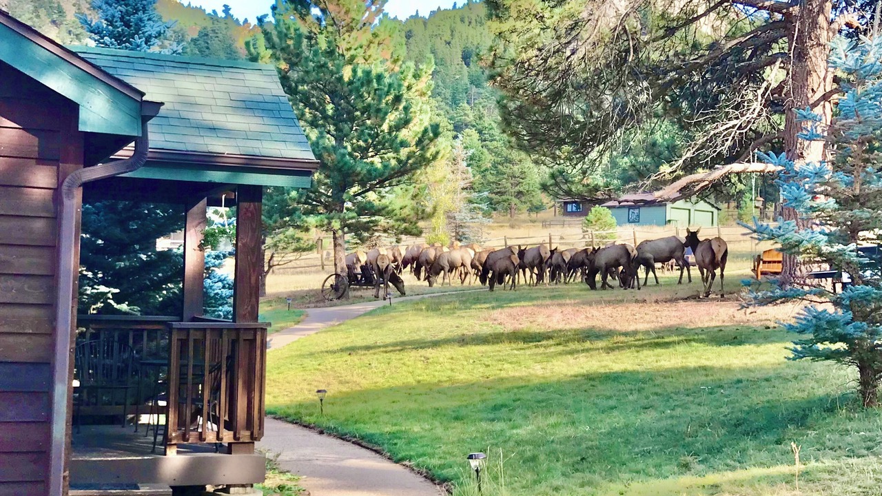 Photo of Outdoor in Estes Park